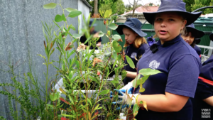 Primary aged children planting seedlings