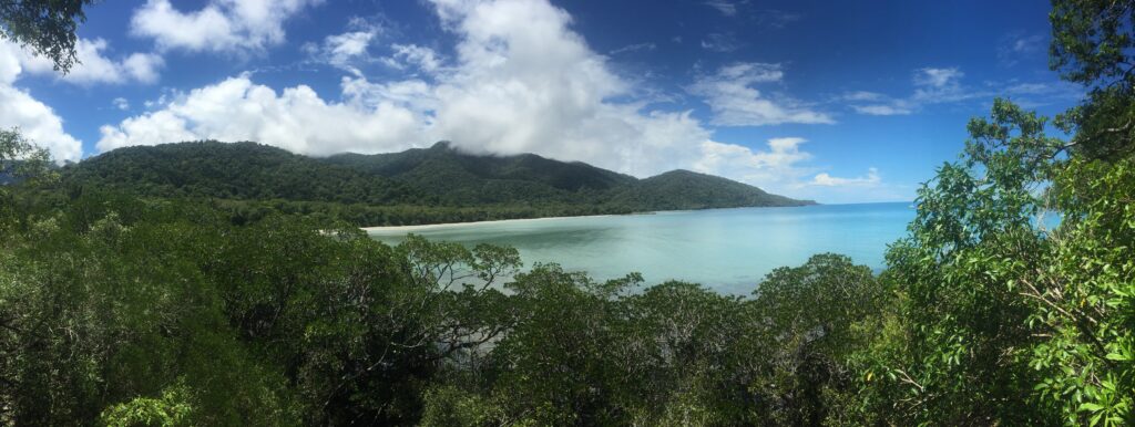 View from lookout across wet tropics rainforest to an ocean bay.