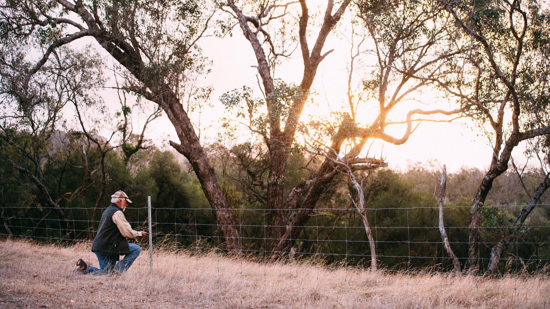 A person kneeling next a fenceline, with the sun setting behind.