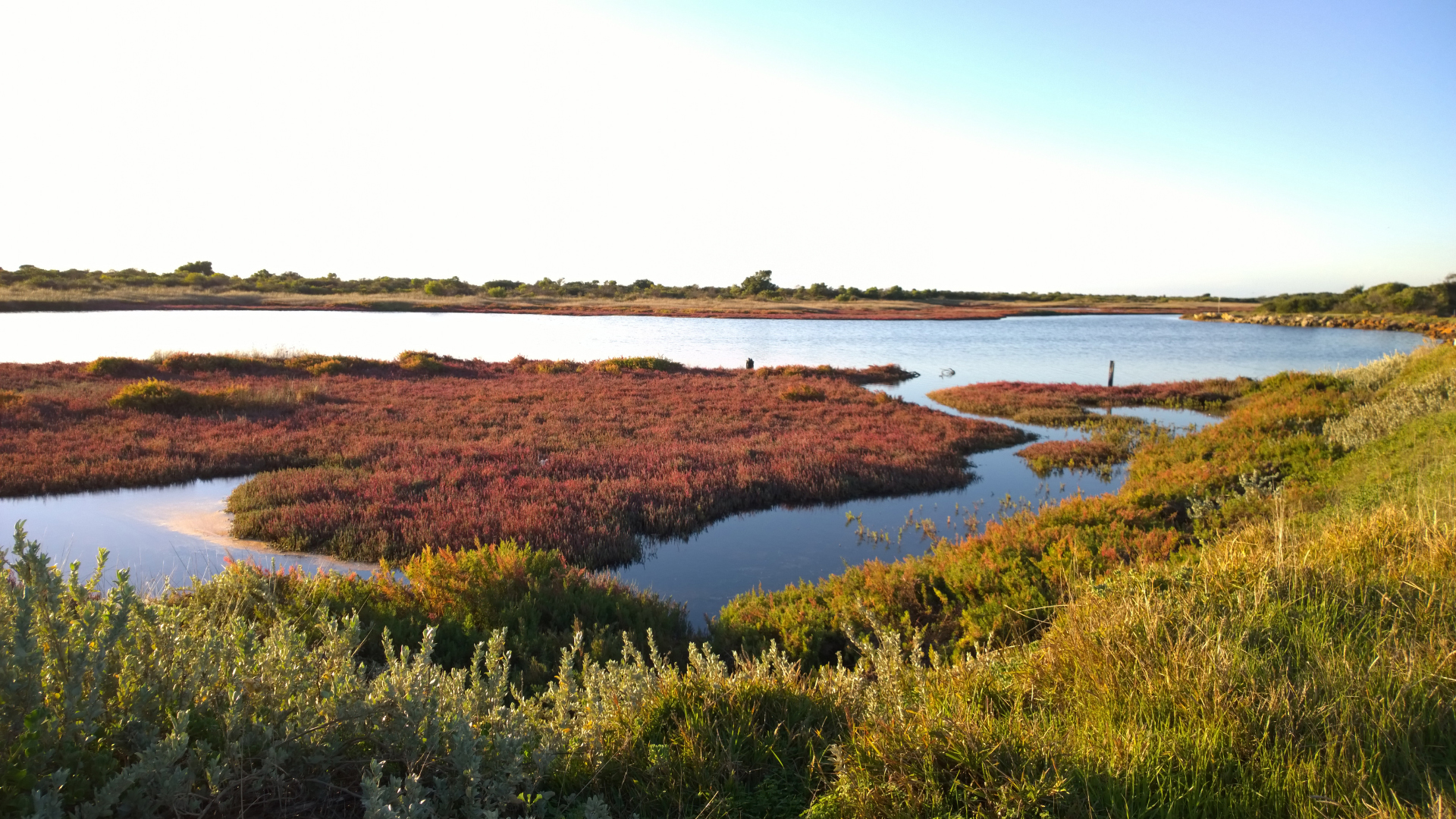 A large flat expanse of water with grassy banks.
