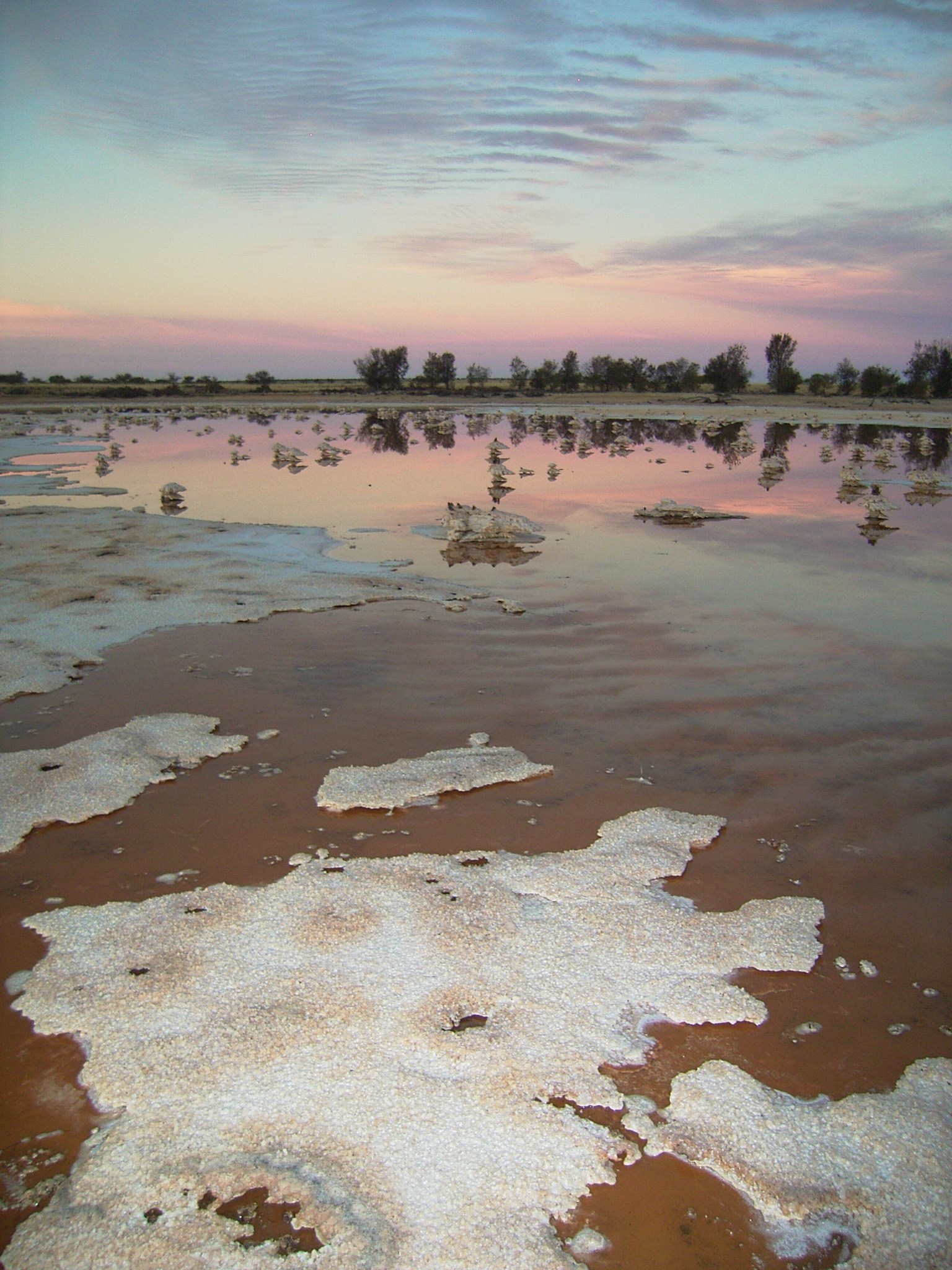 An expanse of water with the sun and trees reflecting off it, as well as a crust of salt in the foreground.