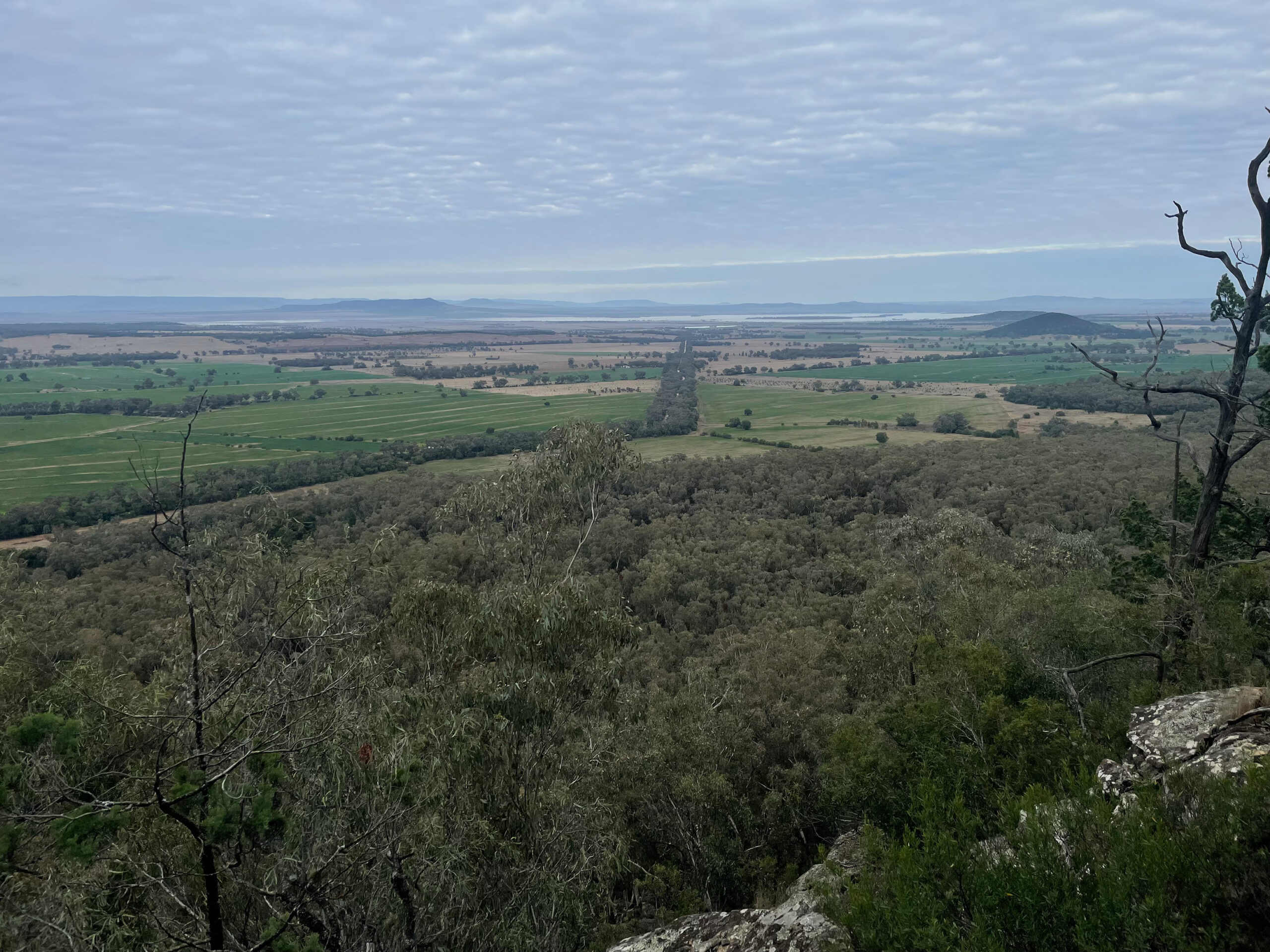 A photo taken from a hillside, overlooking trees and fields.