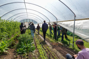 A group of people in a greenhouse filled with a variety of plants, listening to a person talk.