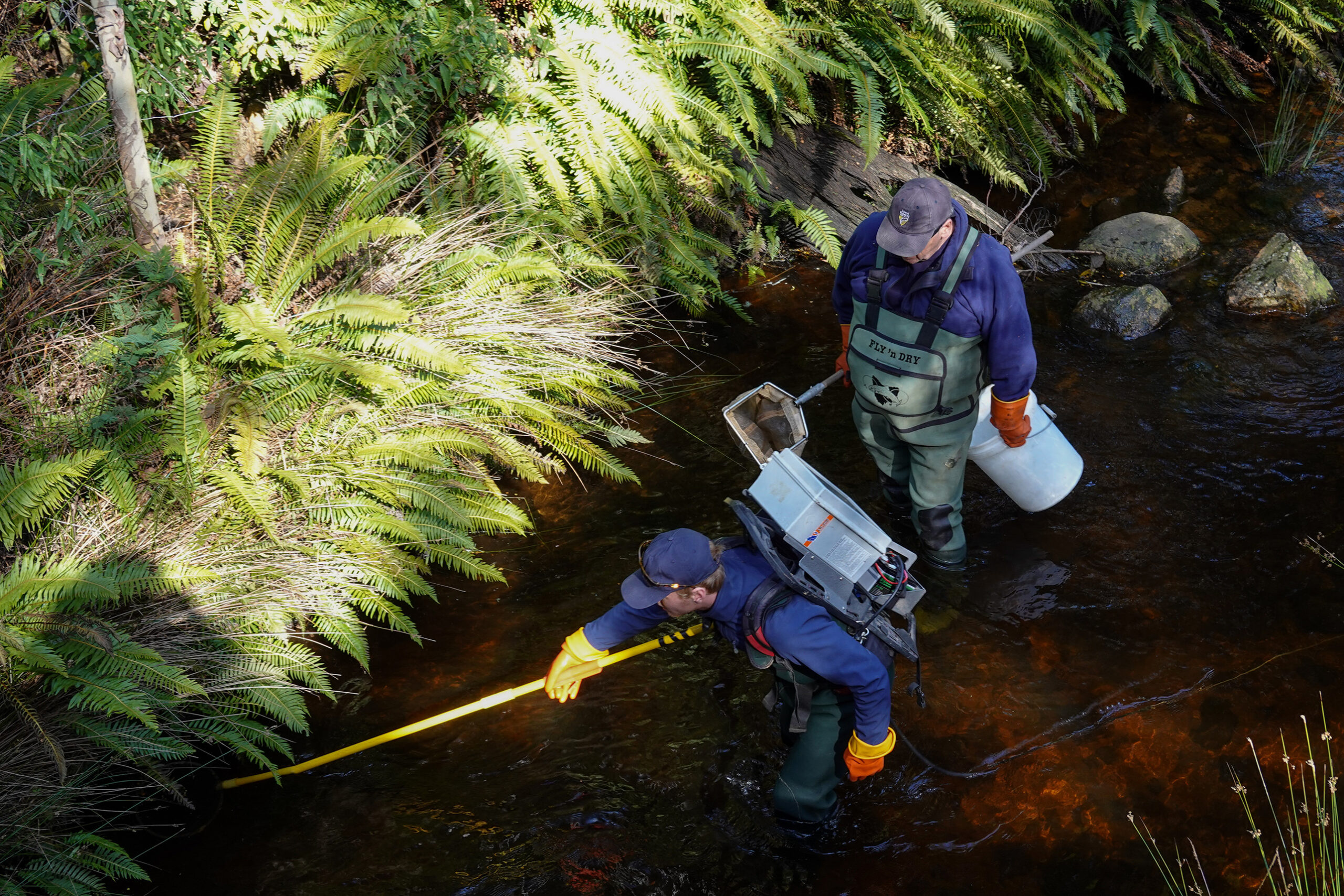 Two people wading in a creek, one holding a bucket and a net, the other holding a long yellow pole and carrying a backpack.
