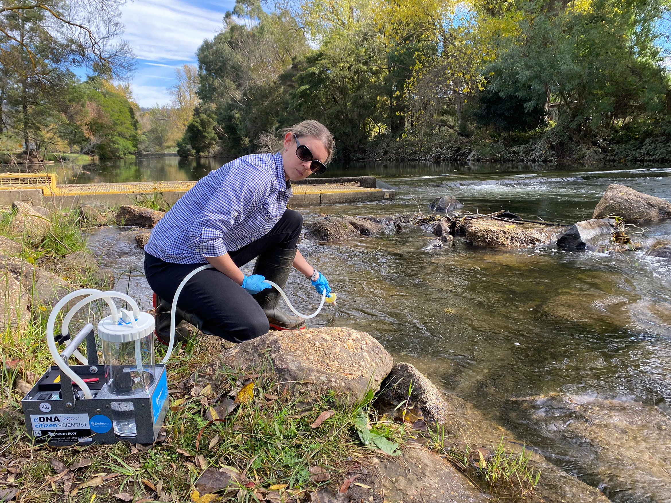 Person at river edge with water sampling equipment.