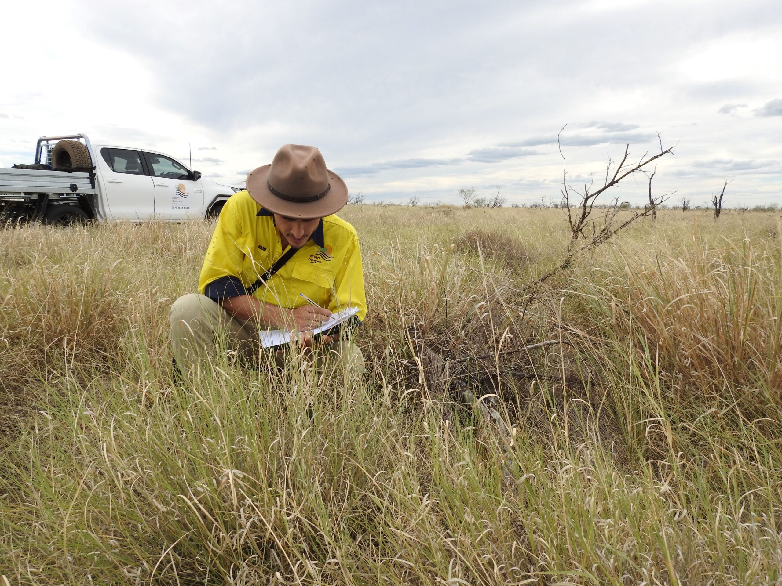 Person with clipboard crouched down looking at shin-high grass with 4WD in background.