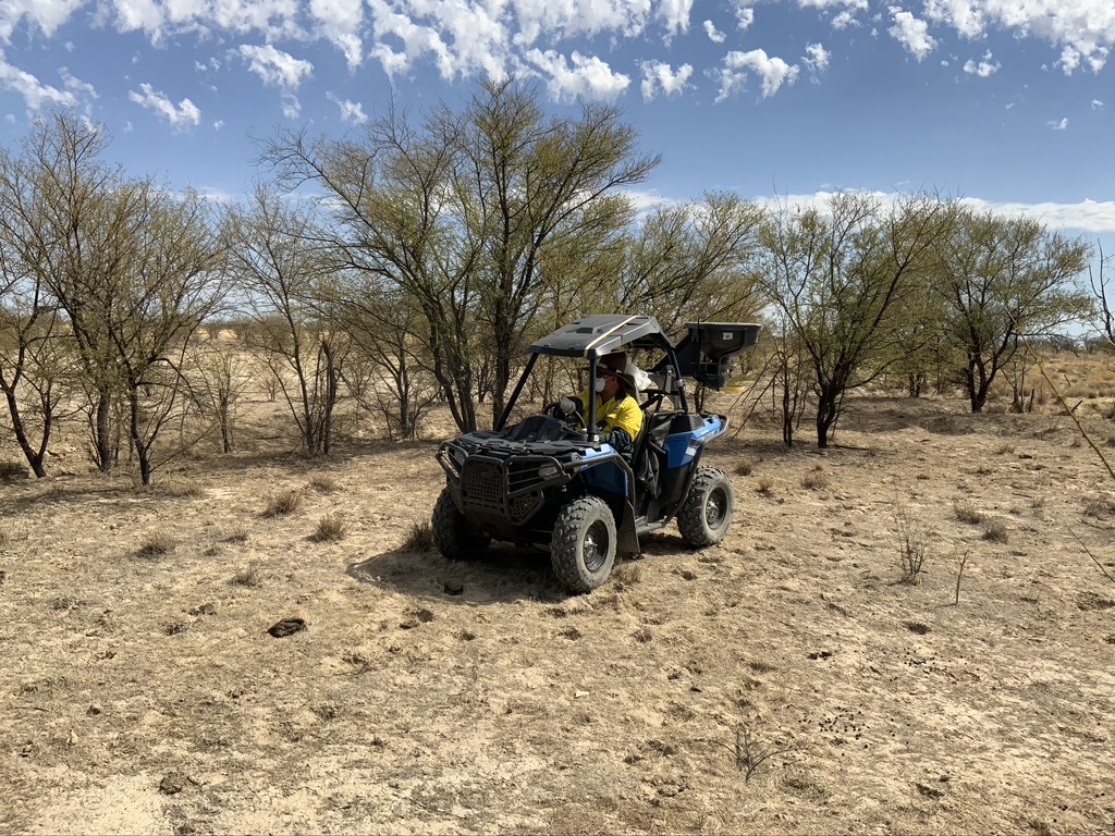 Person in side-by-side with a spray unit on the back with prickly acacia bushes in the background.