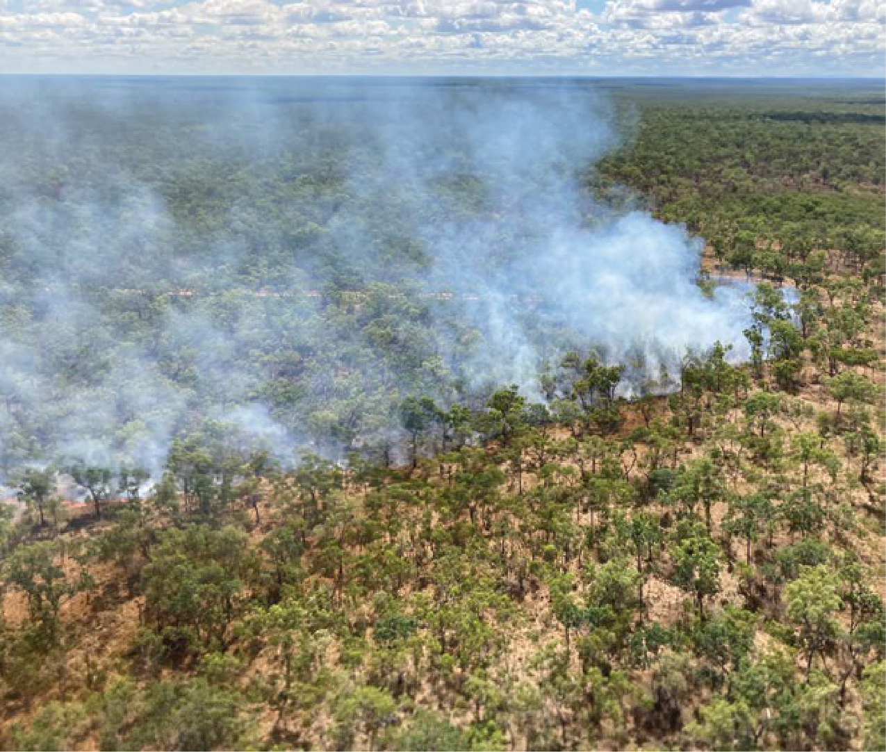 An aerial photo of fires in bushland.