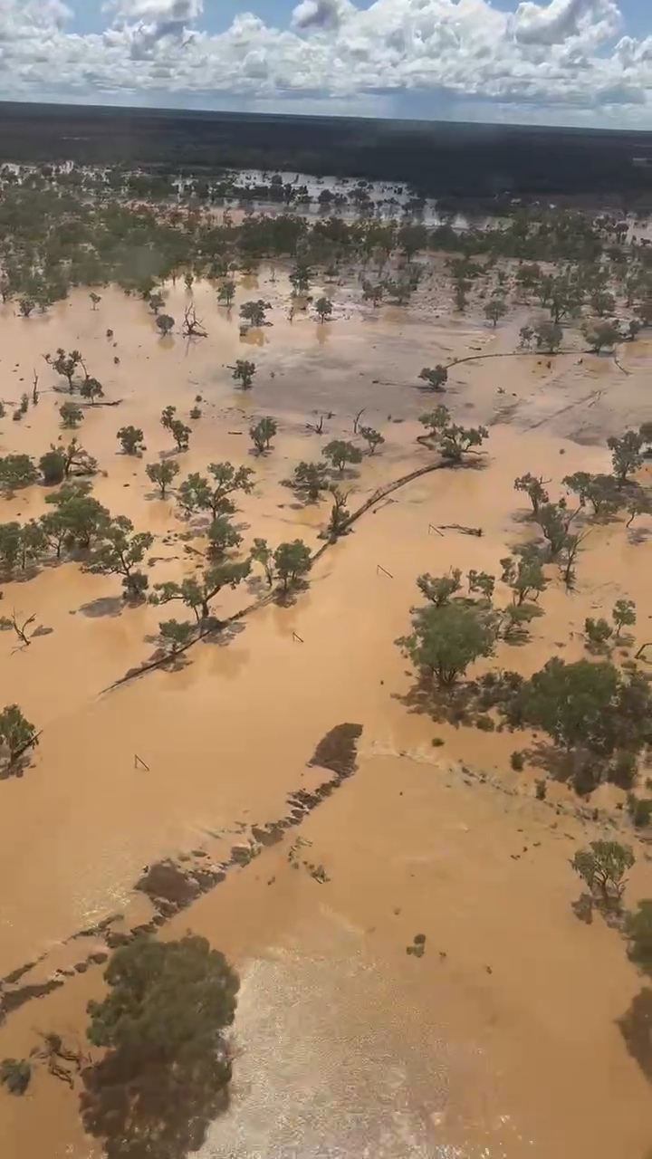 A flooded plain with gum trees totally inundated off to the horizon.