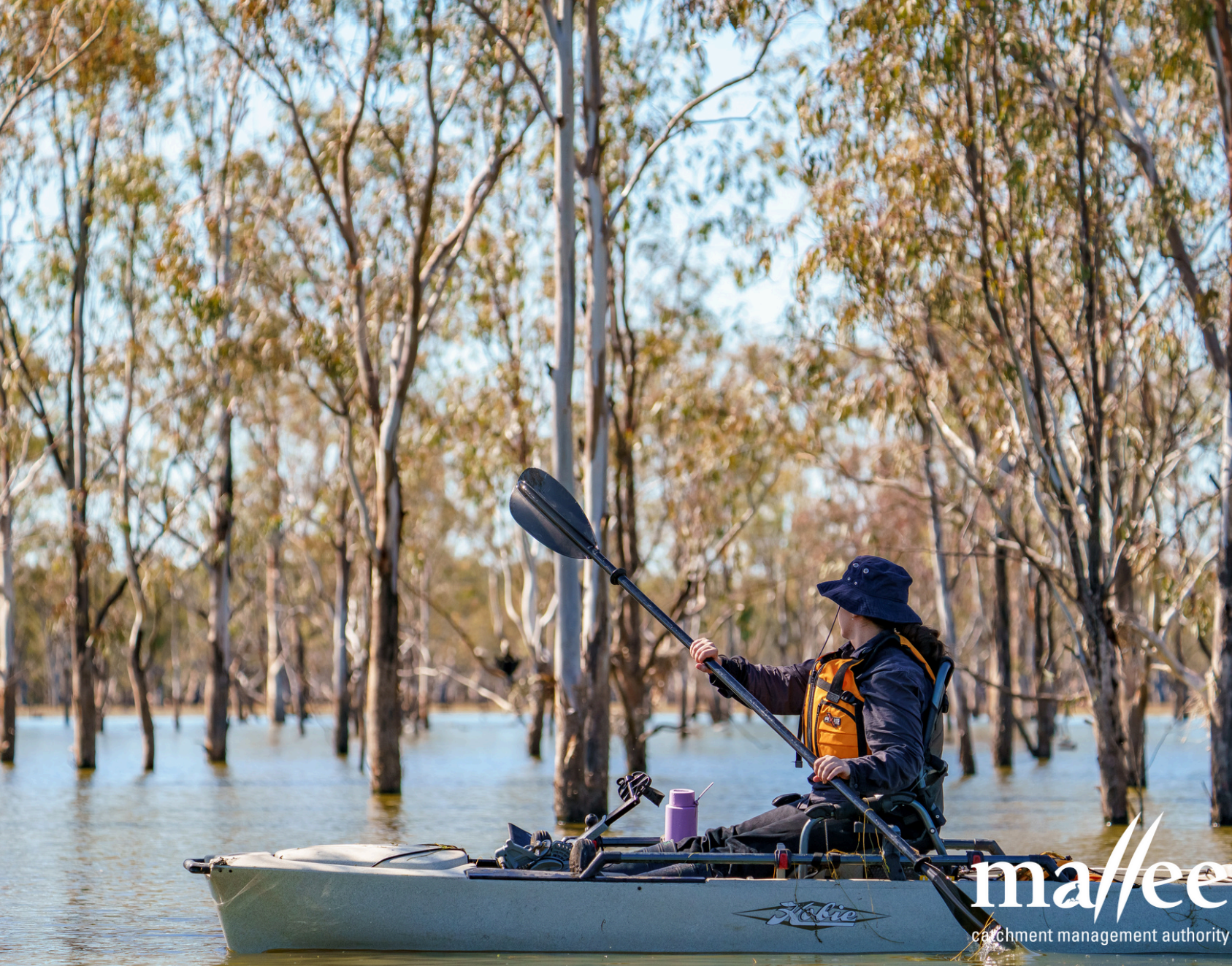A person kayaking on a lake between trees.