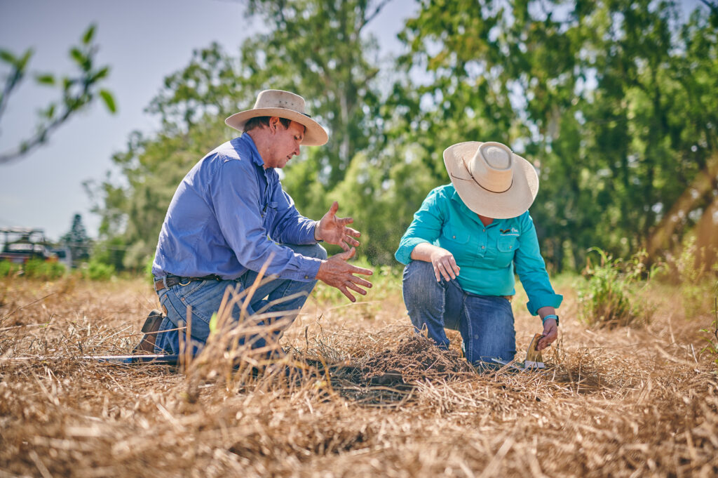 Two people kneeling in a browned off grass paddock looking at the soil.