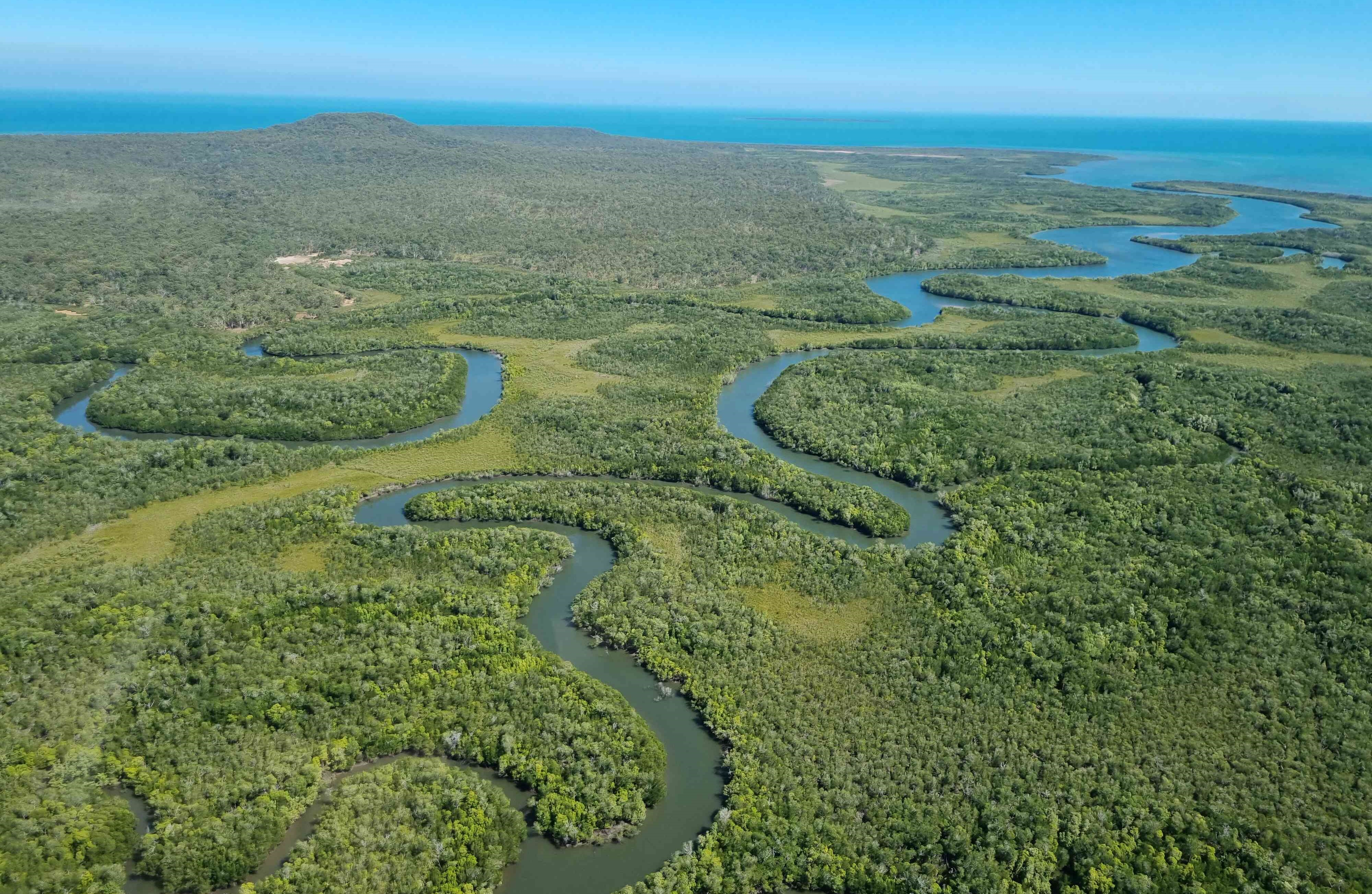 An aerial photo of a winding river system surrounded by lush green vegetation leading out to the sea.