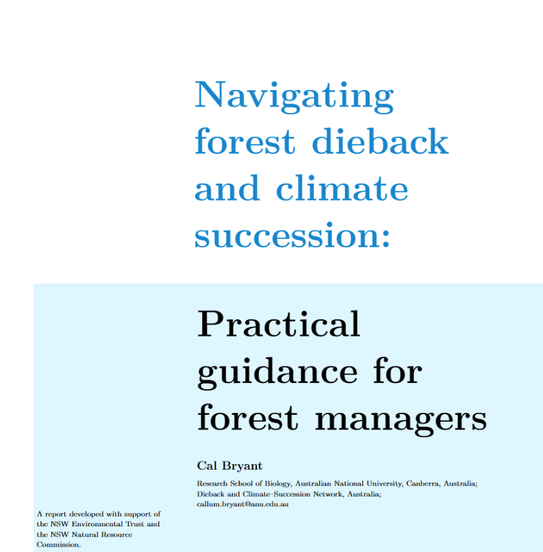 Navigating forest dieback and climate succession: Practical guidance ...