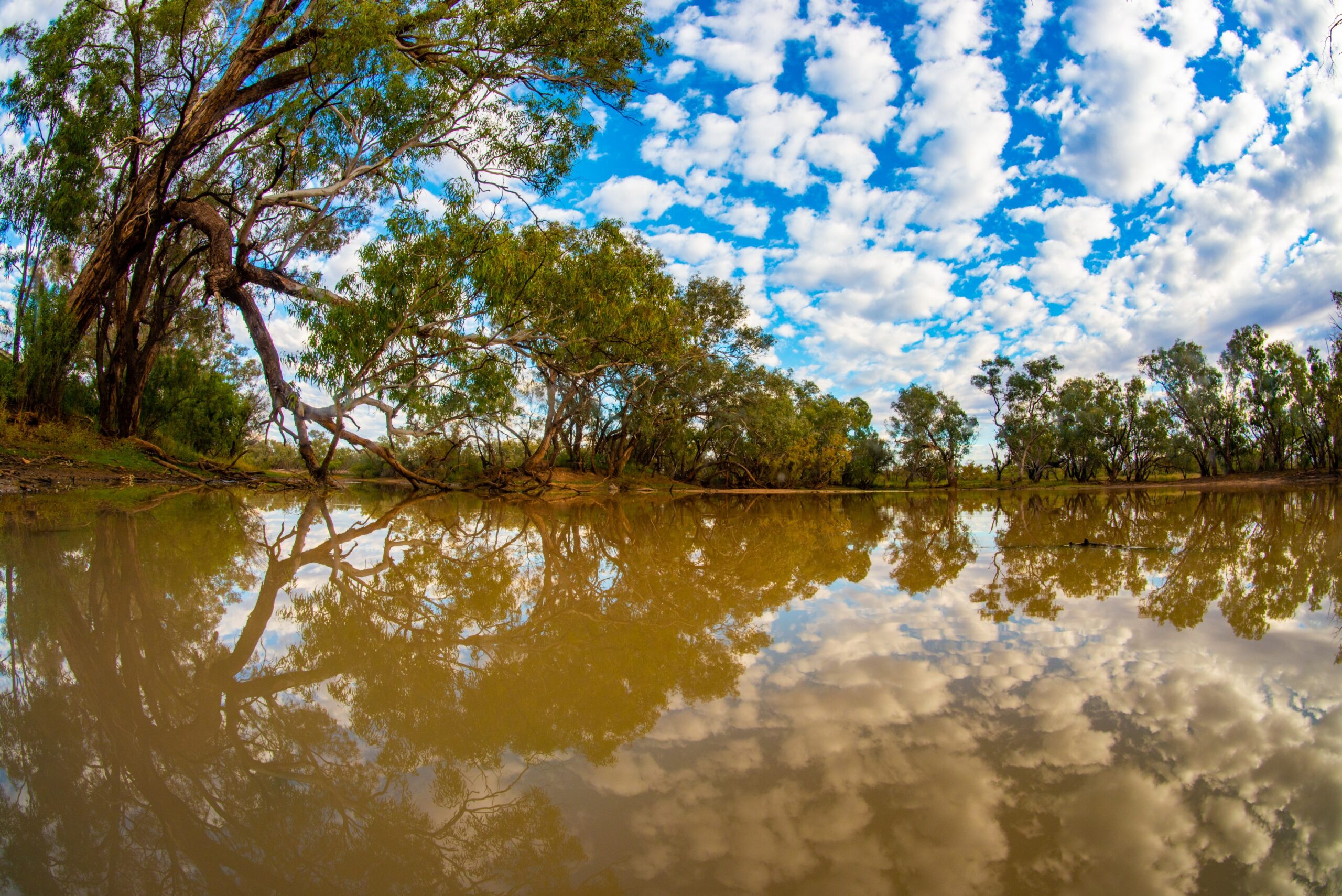 Fish eye image of a still waterhole with the blue sky and clouds reflected in the water surrounded by established trees.