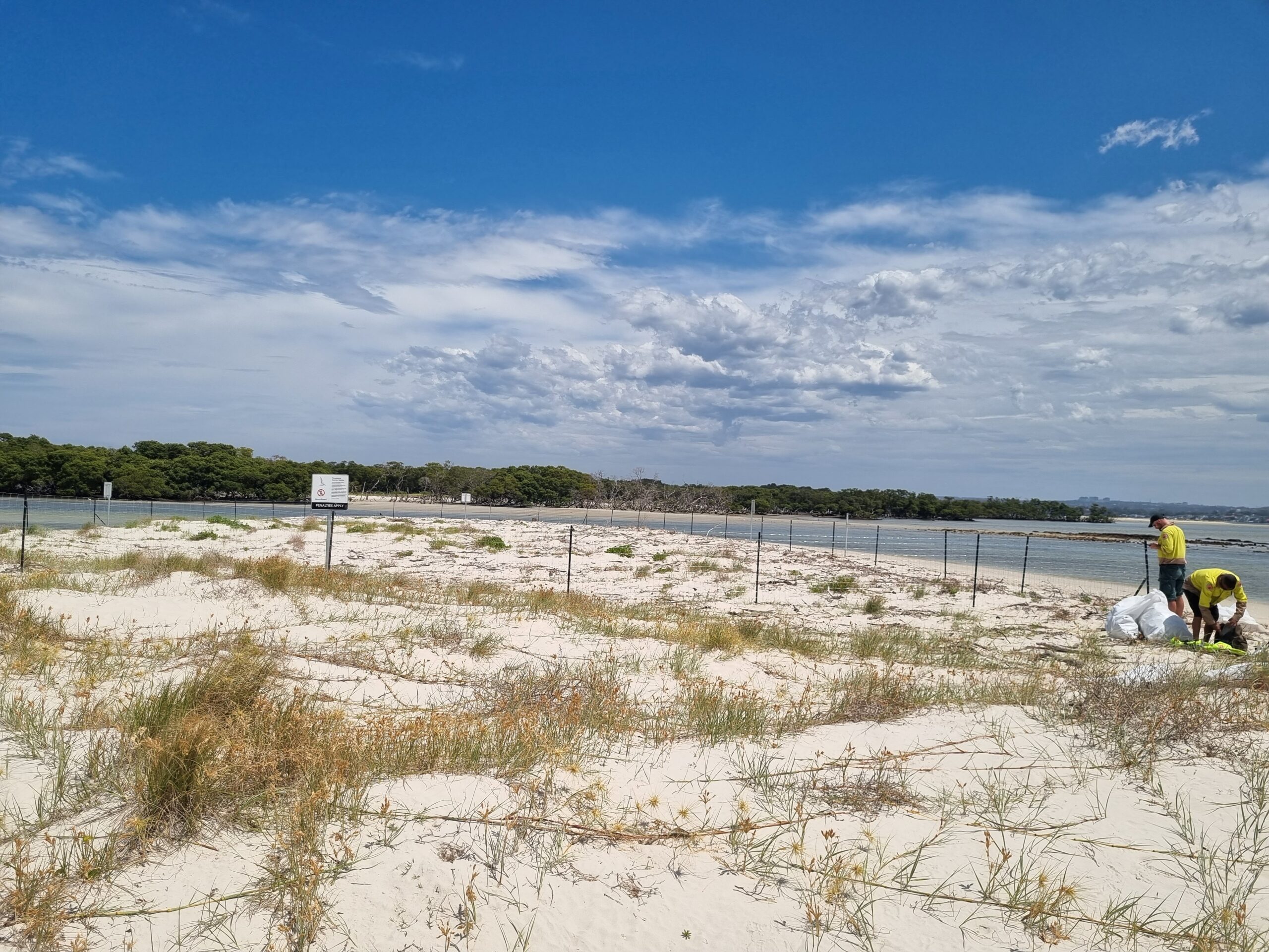Two people standing on a sandy white beach, with brown grass growing, the ocean is in the background, as well as green trees.