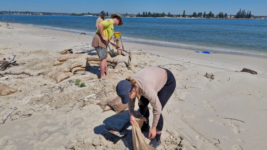 Three people on the ocean shore, filling sacks with sand.