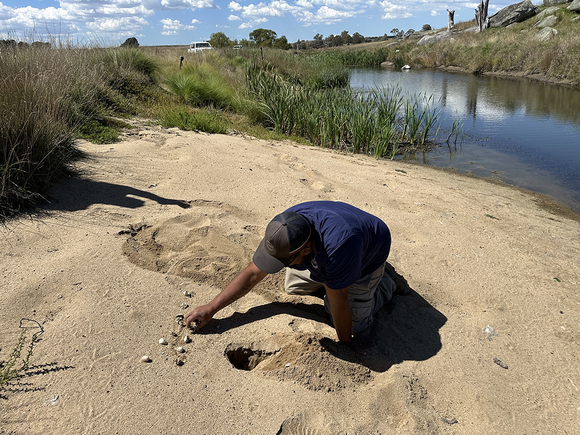 A person is knelt in the sand, on the bank of a body of water, counting turtle eggshells.