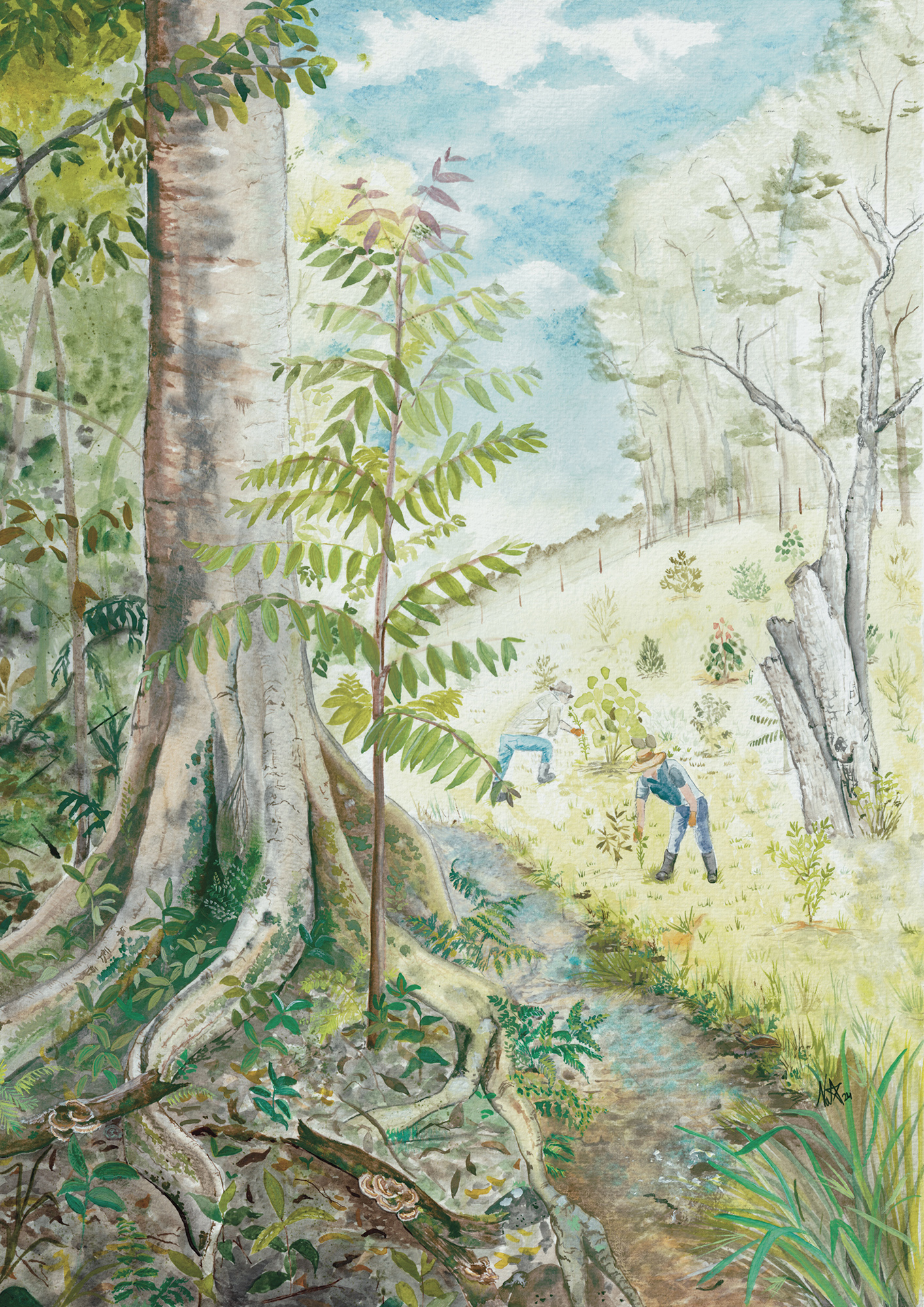 Water colour portrait of a large tree, next to a creek, where people are gardening along the creek bank.