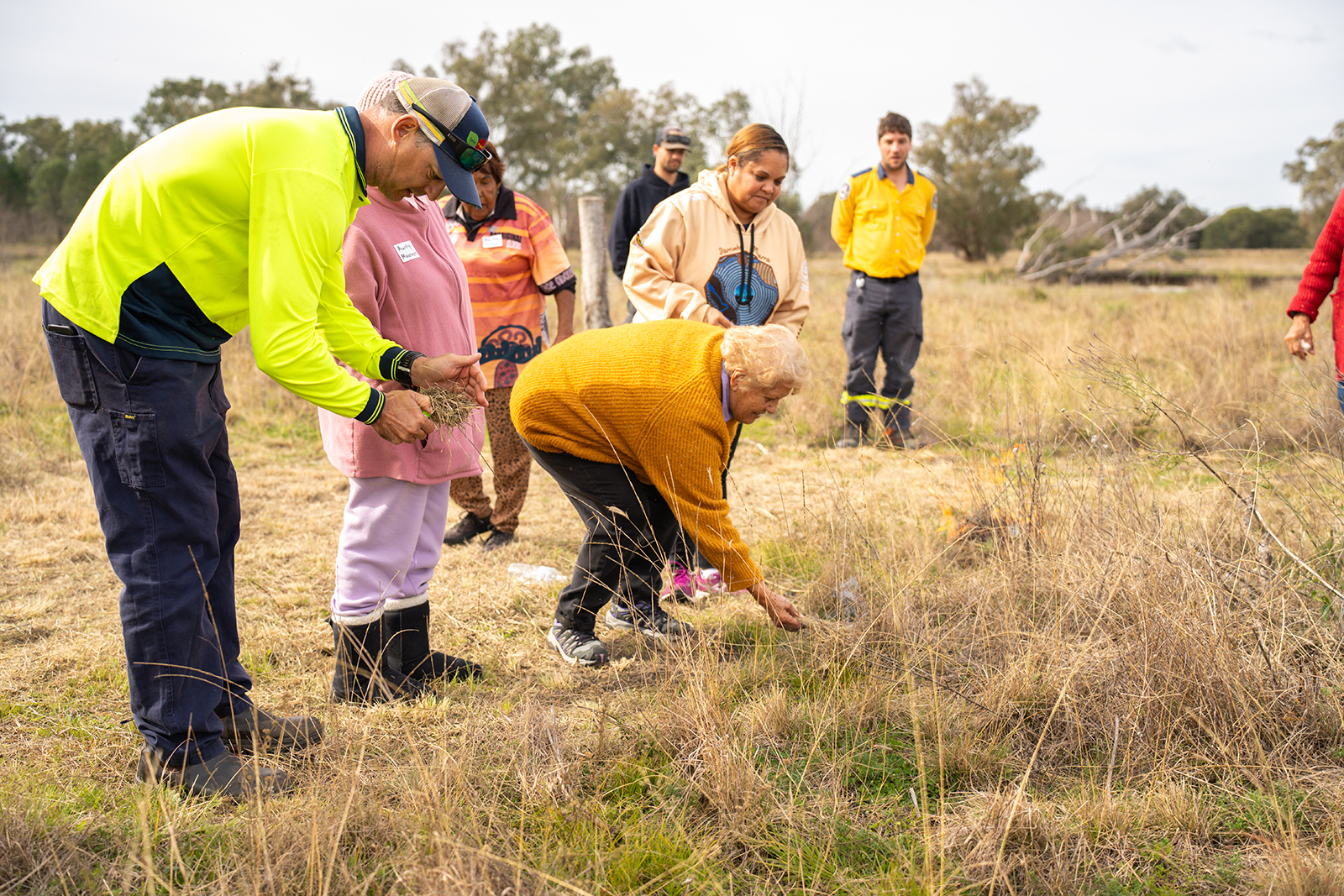 A group of people watching a person start a cultural burn, in a field of long brown grass.