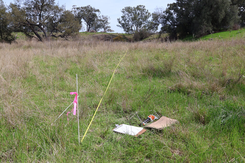 White pole with pink tape, a yellow measuring tape and clipboards on the ground, in a field with long grass and trees in the distance.