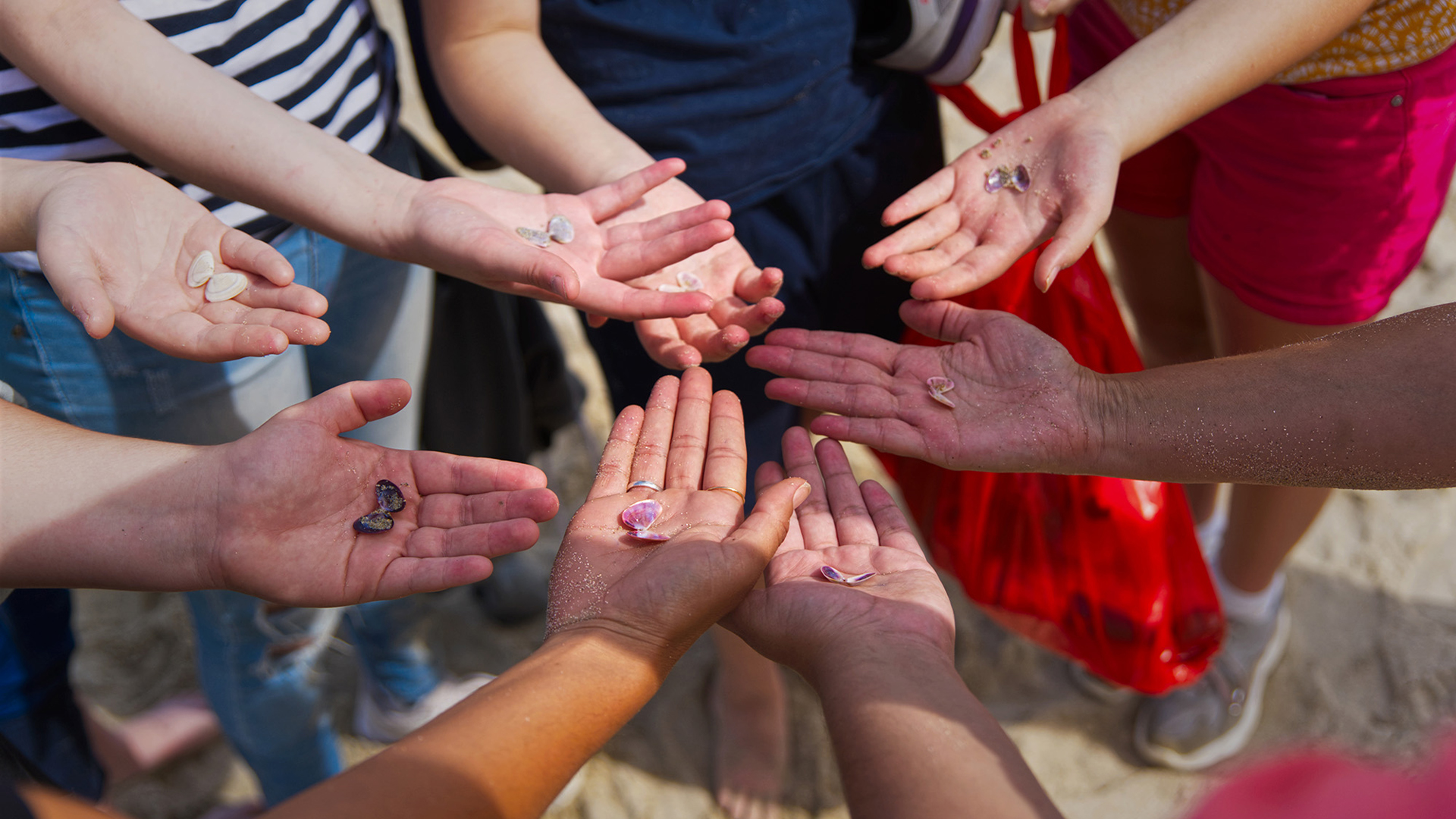 People are holding shells, in the palms of their hands.