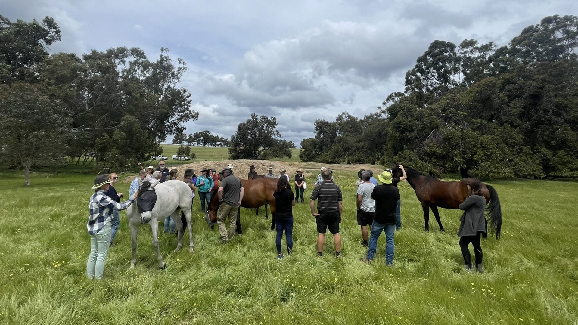 A group of people are standing in a field, surrounded by trees, petting horses.