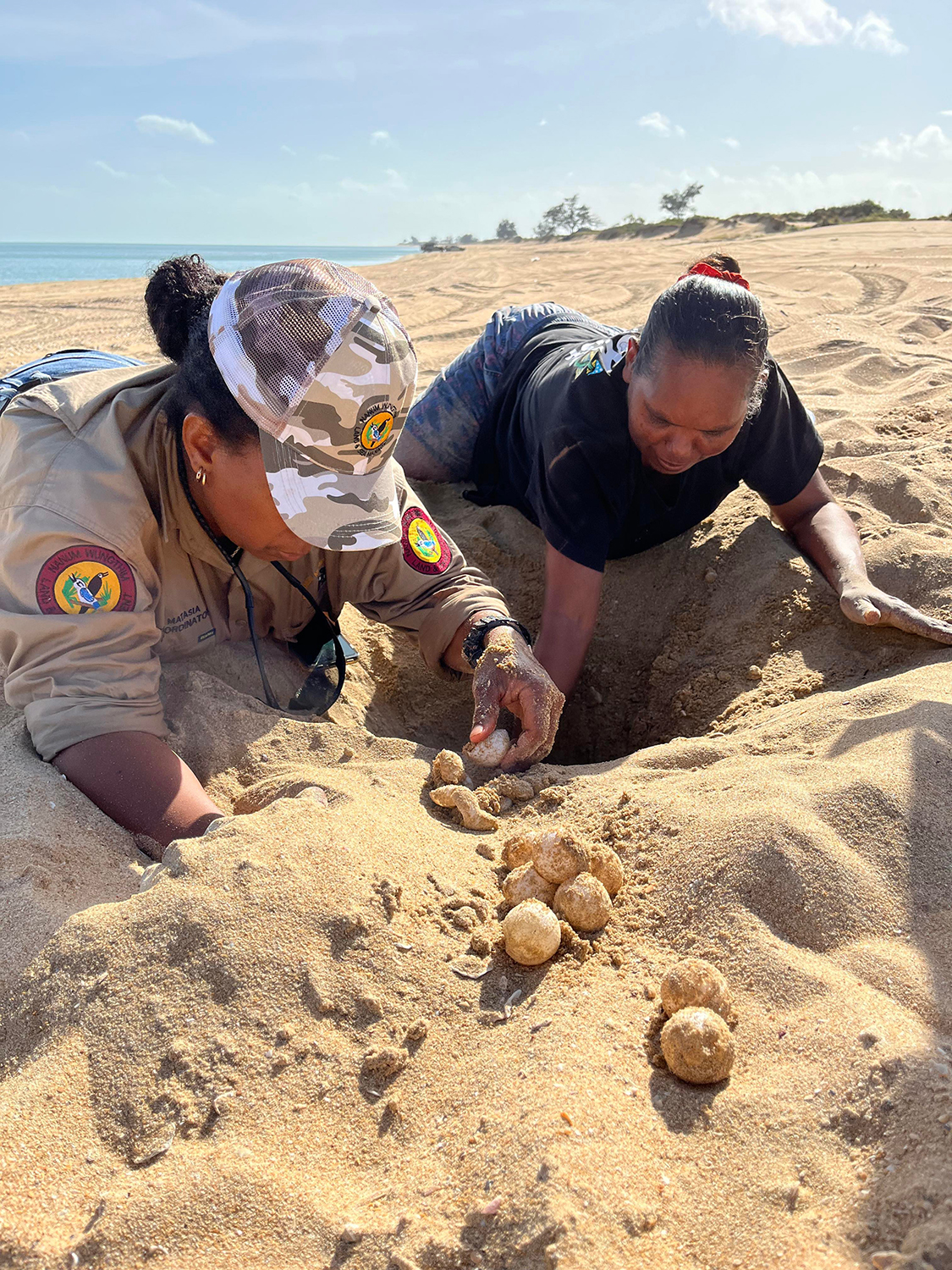 Two Indigenous women laying on the beach digging up a turtle's nest and pulling out soft shelled eggs.