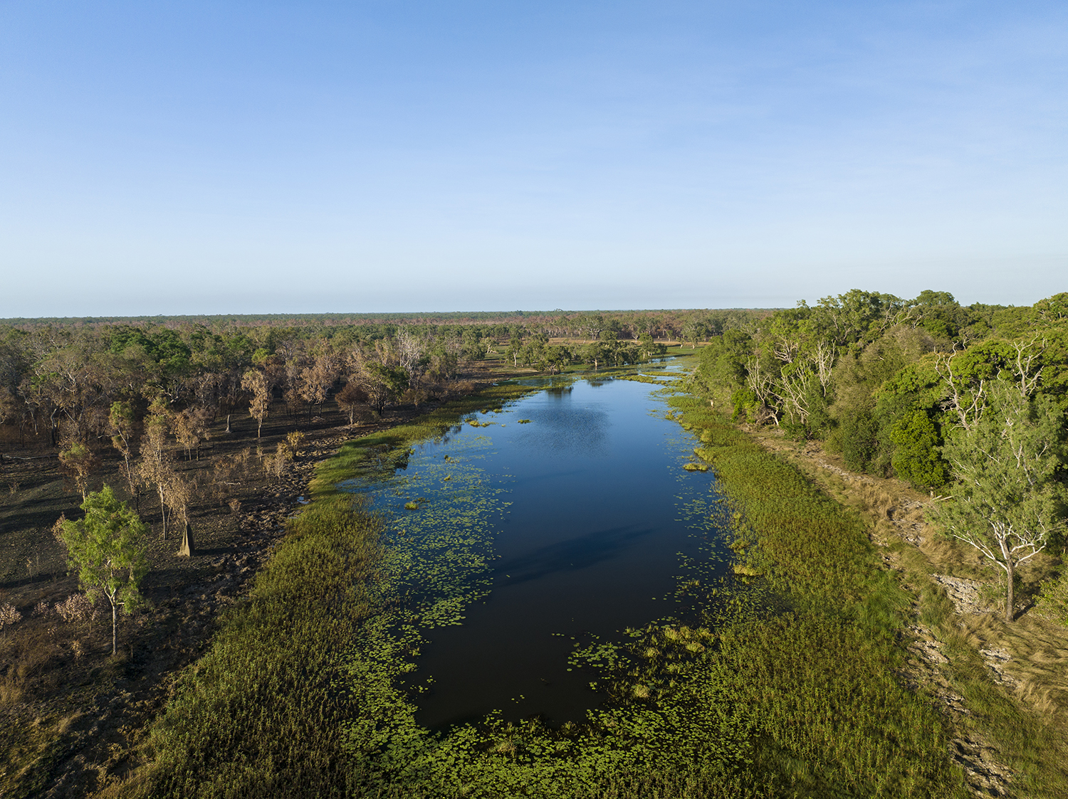 Aerial image of long lagoon surrounded by green vegetation with blue sky reflected