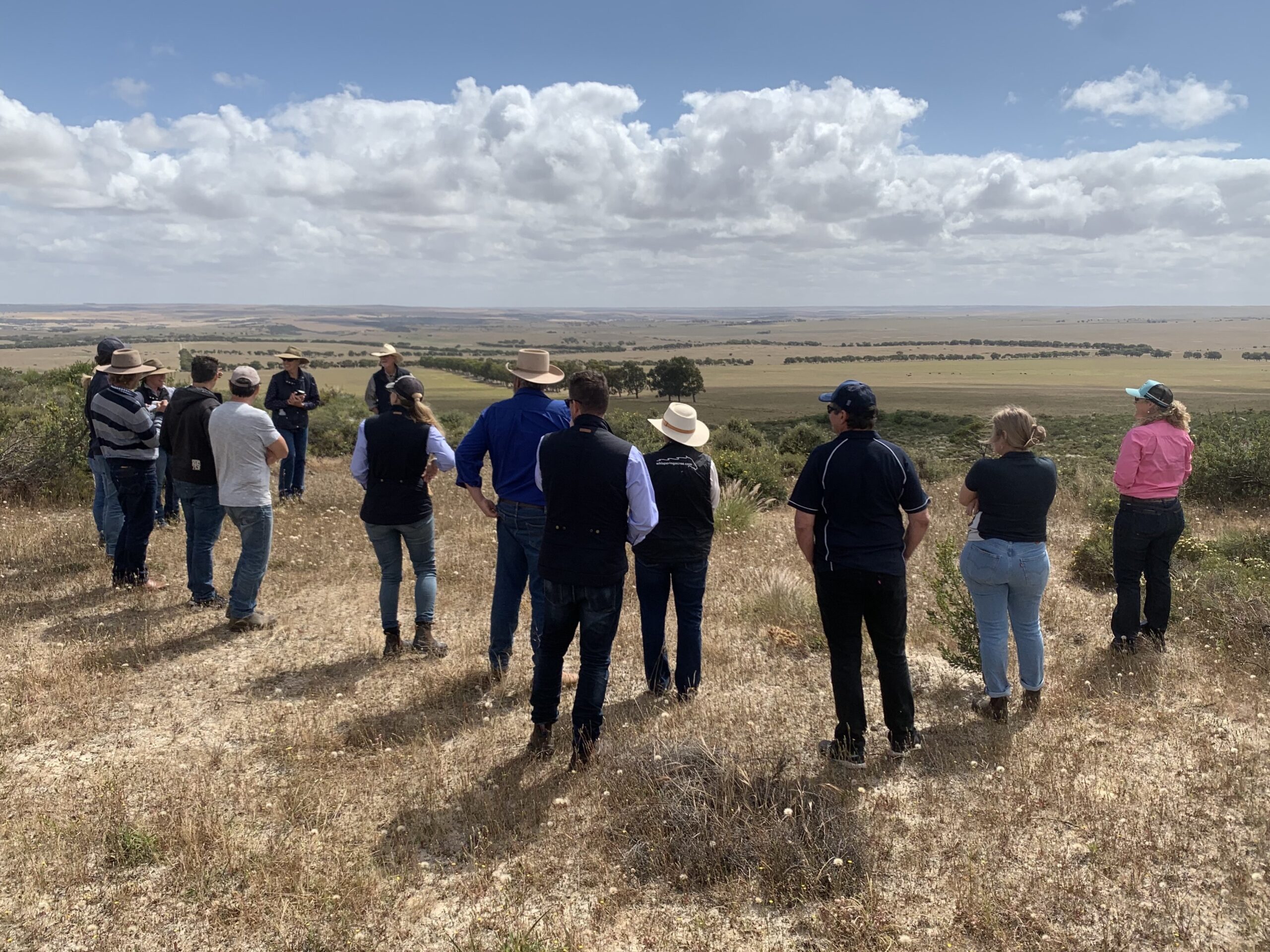 Group of people standing with backs to the camera looking out to the expansive landscape of undulating hills and lines of trees.