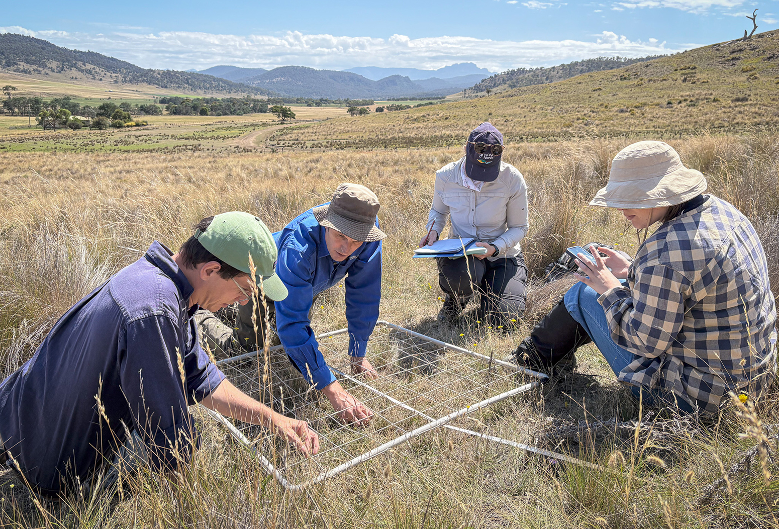 4 people working in field looking at vegetation, with ranges in the background.