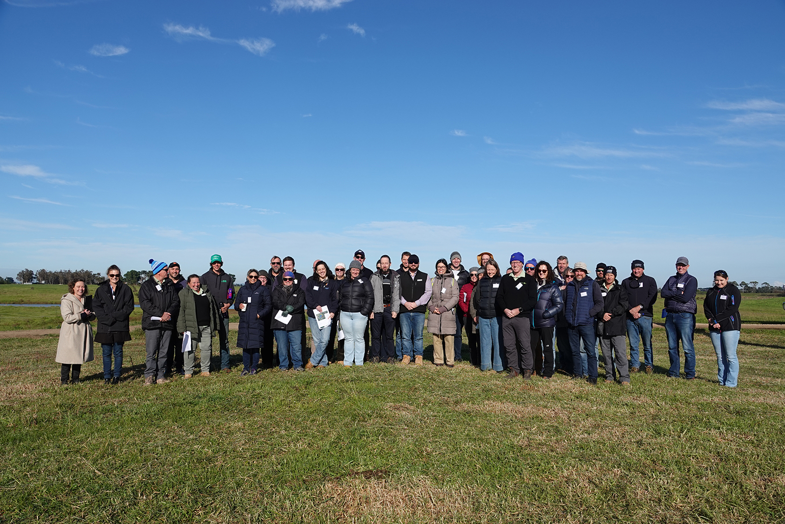 Large group of people standing on an open grassy field with trees on the horizon in the distant horizon.