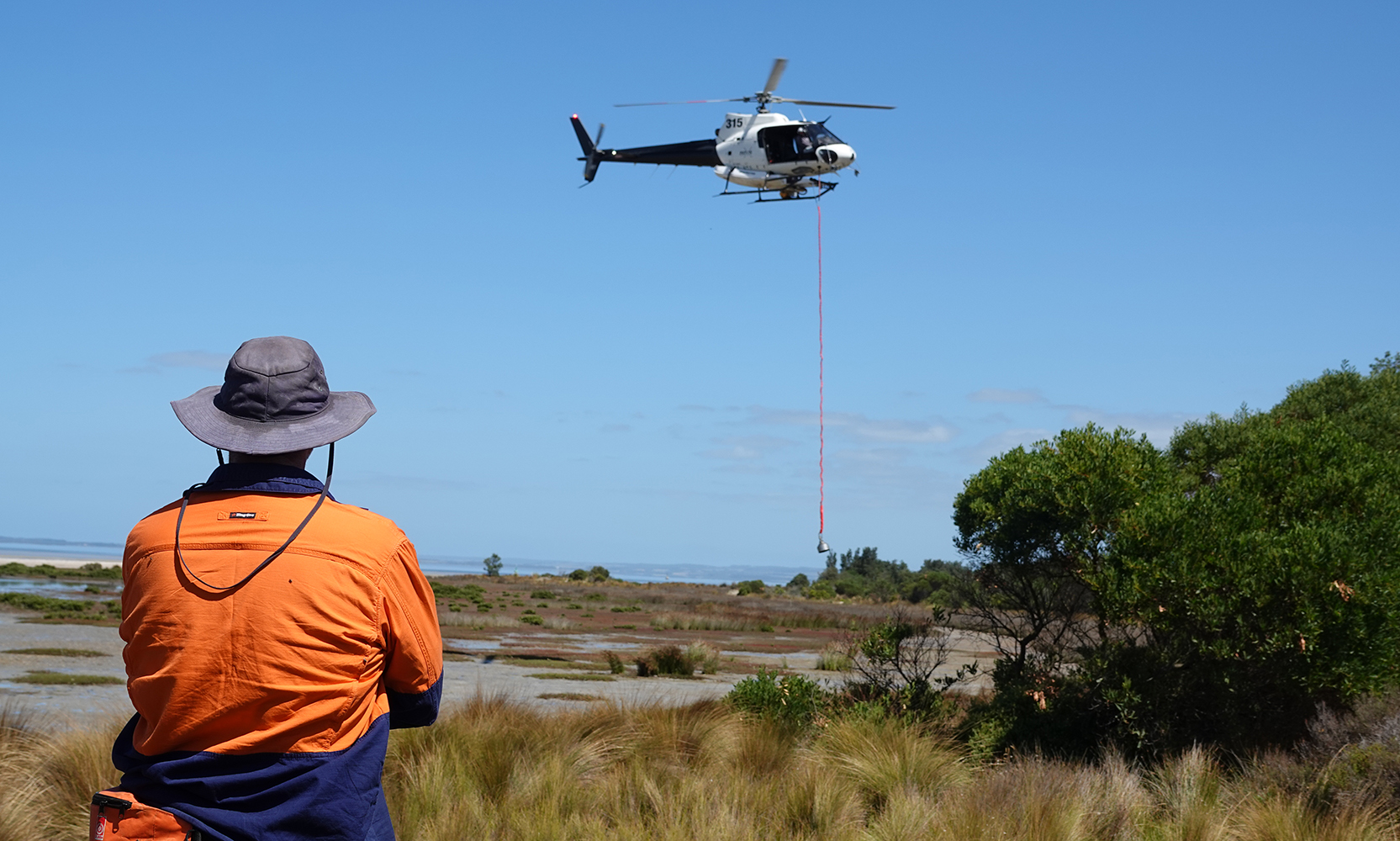 A person wearing orange hi-vis, standing in long grass, is watching a helicopter fly close to the ground.