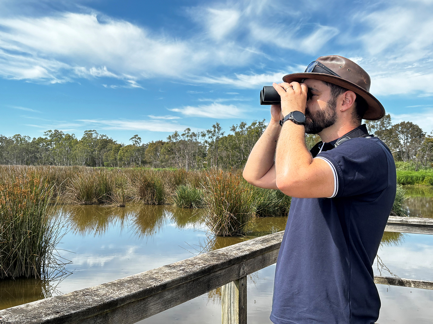 Person standing in a viewing area looking through binoculars over wetlands with reeds and trees in the background.