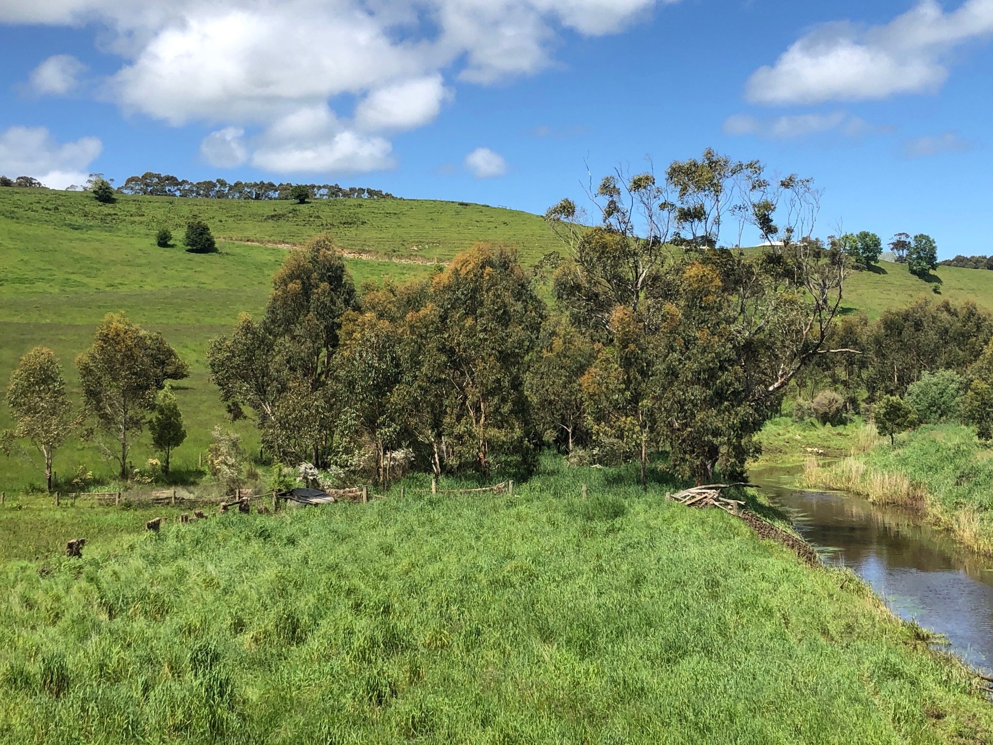 Green pasture with stream on the right and trees in the midground with rolling green hills and blue sky with some clouds in background.