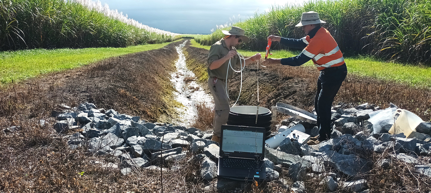 Two people are standing in a large drain, surrounded by crops of grass.