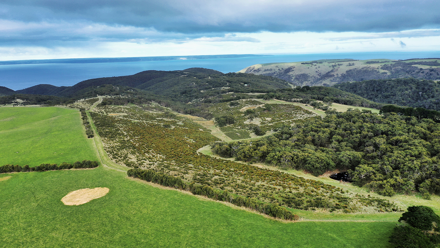 Aerial image of rolling hills with farmland and vegetation looking out to the ocean and with island visible on the horizon.