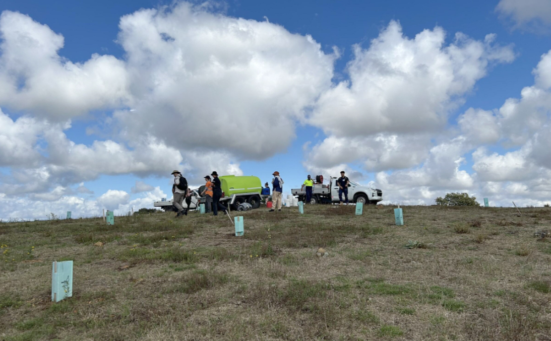 A group of people are working besides multiple vehicles; they are working on a grassy hillside.