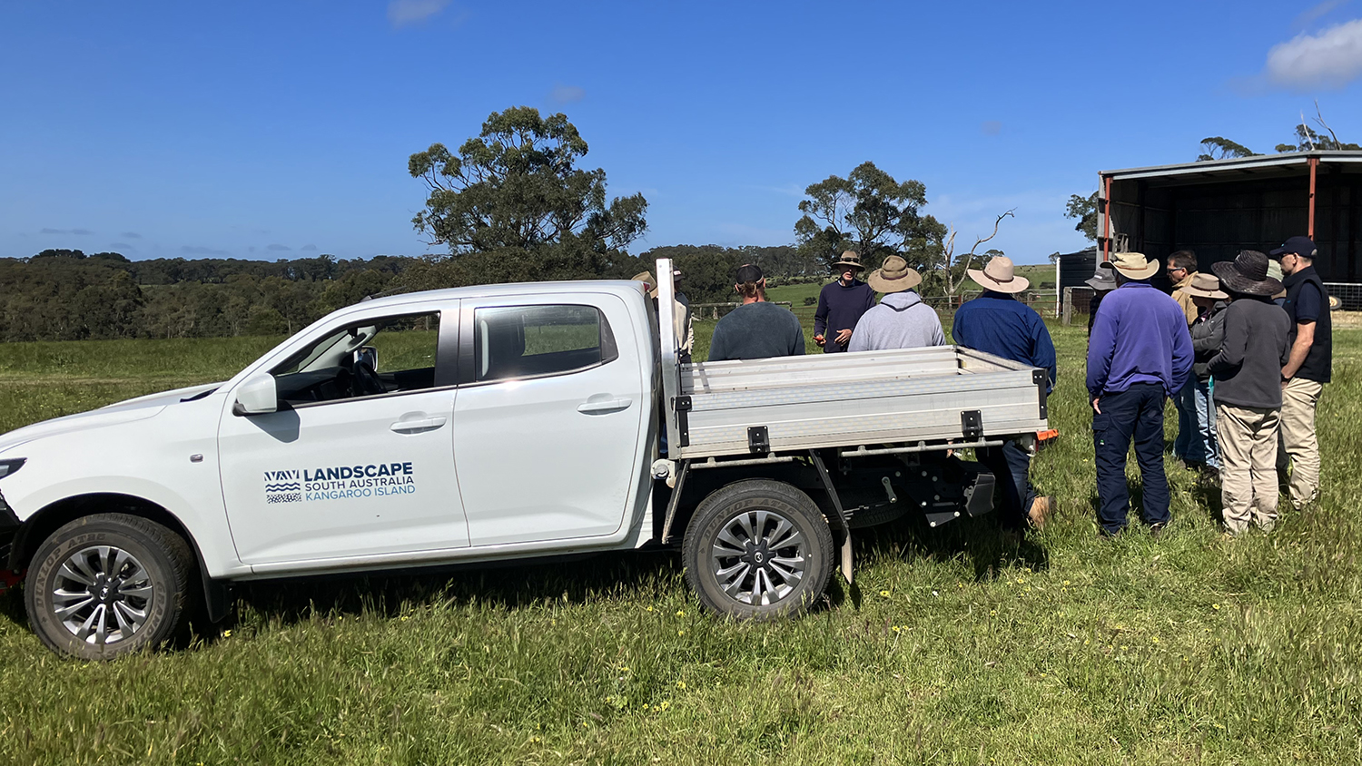 A group of people are standing next to a Ute, in a grassy field with a shed and trees in the distance.
