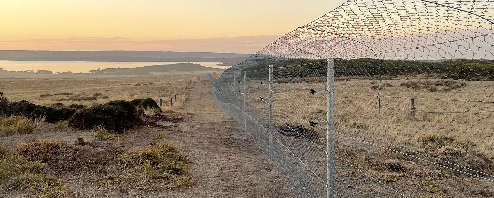 A tall metal fence is in a dry, grassy field, in the distance is the ocean with an orange sunset.