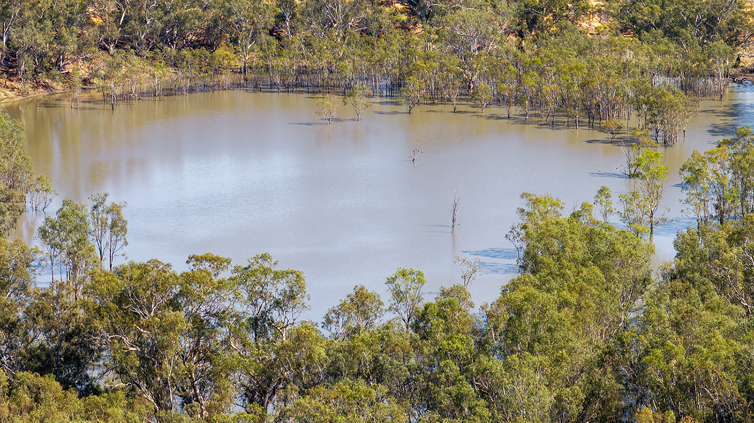 Aerial image of a large lake surrounded by trees.