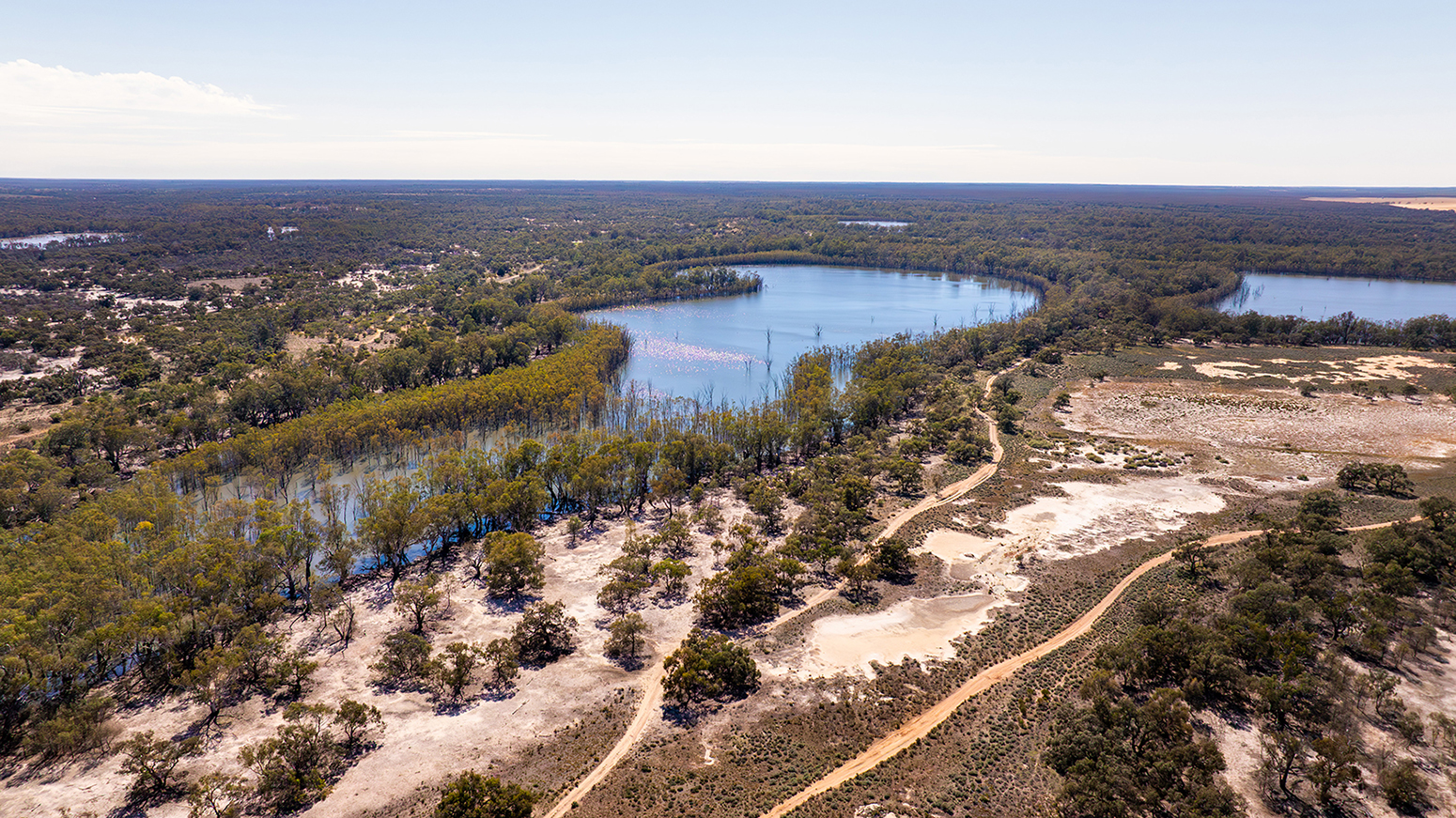 Aerial image of land and lakes surrounded by trees with dirt roads traversing.