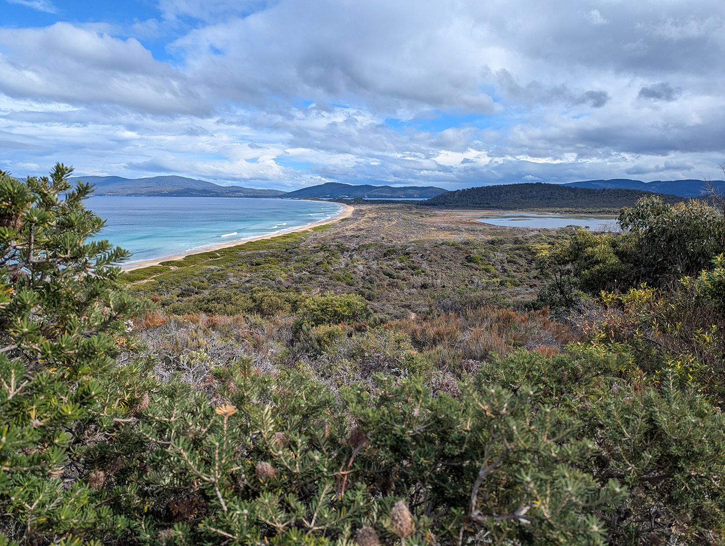 Looking down coast line covered in vegetation towards blue ranges with cloudy sky
