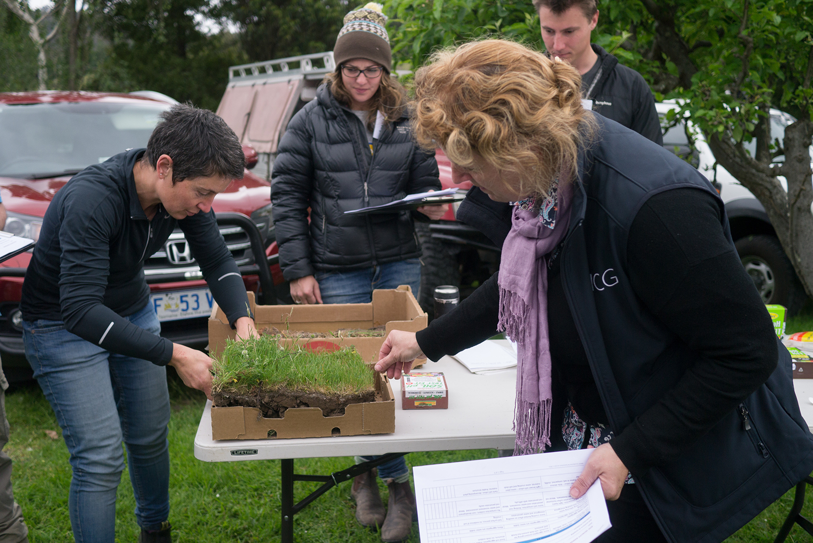 People inspecting seedlings in a box on a table.