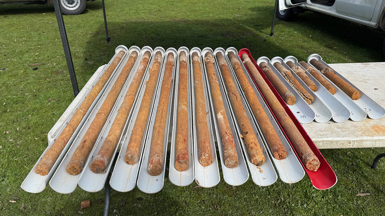 Log shape soil samples, lying inside of poly pipes, that have been cut in half.