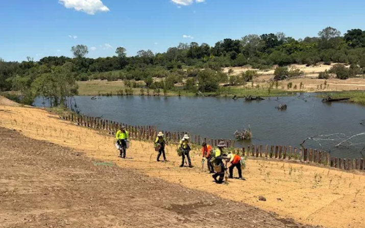 A group of people, planting grass seedlings, in front of a body of water.