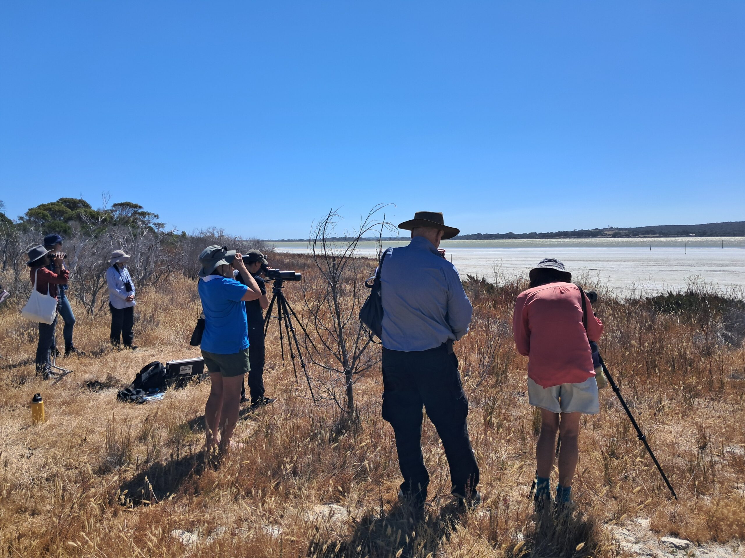 A group of people, standing on a sandy bank, with dry grass, looking into cameras on tripods, and using binoculars.