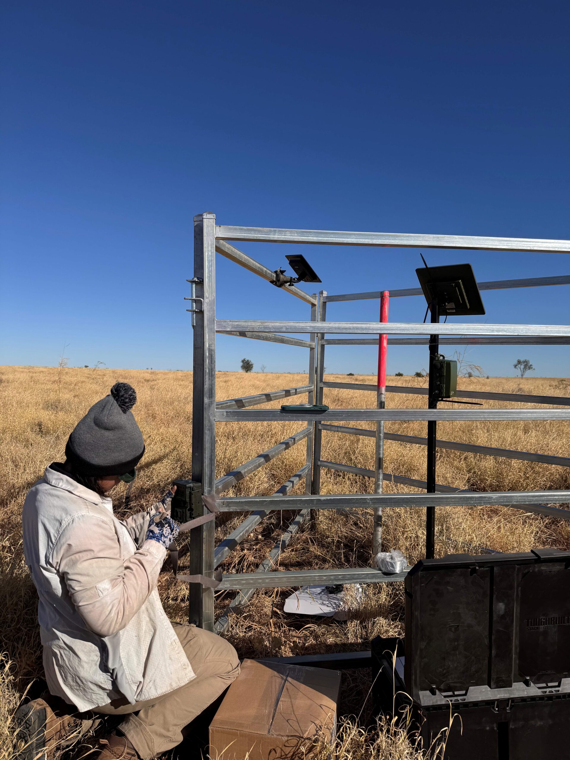 A person is knelt down, next to a metal frame, in a dry, grassy field.