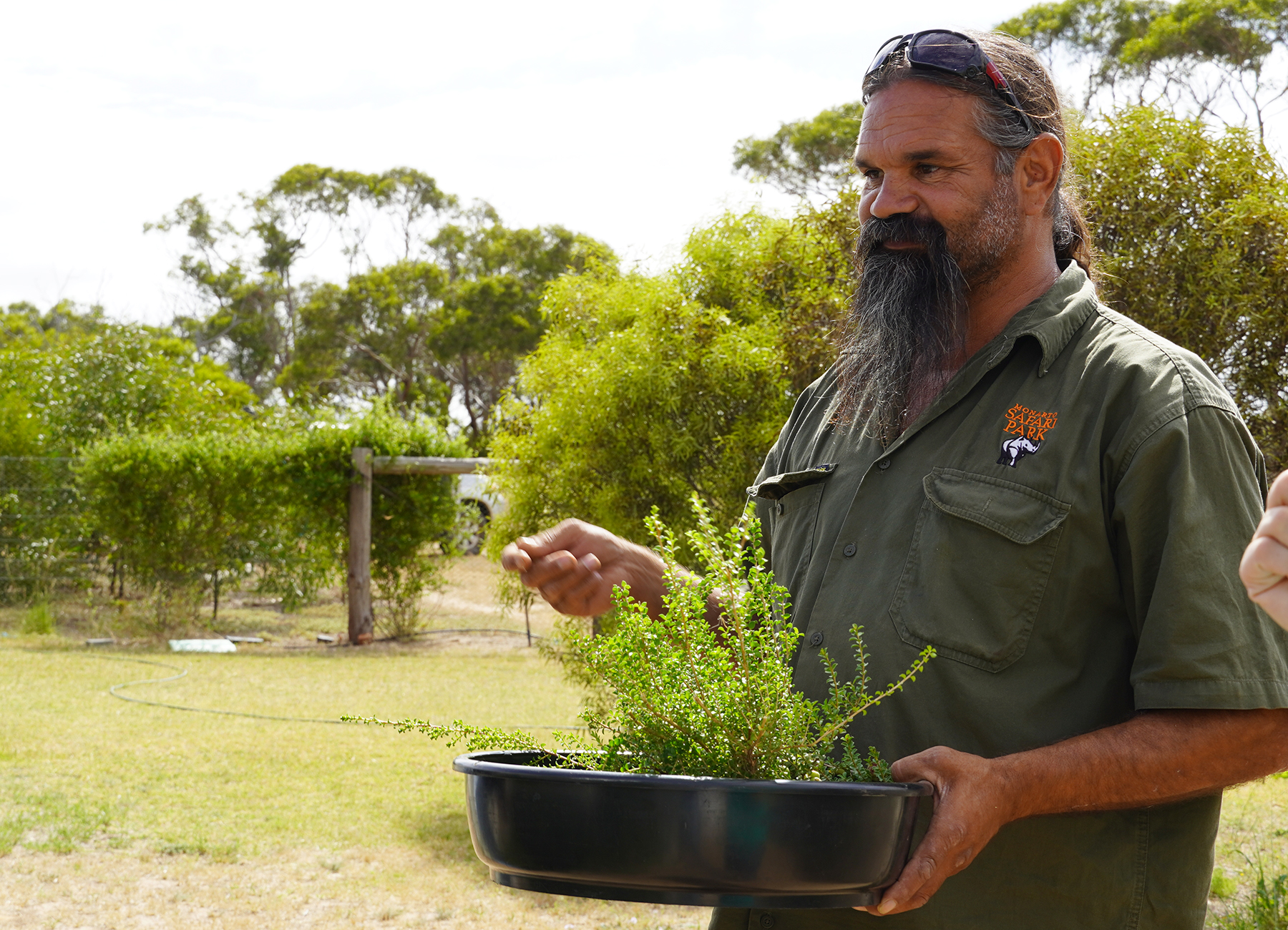 A person is holding a black pot, with a small, green plant inside of it.