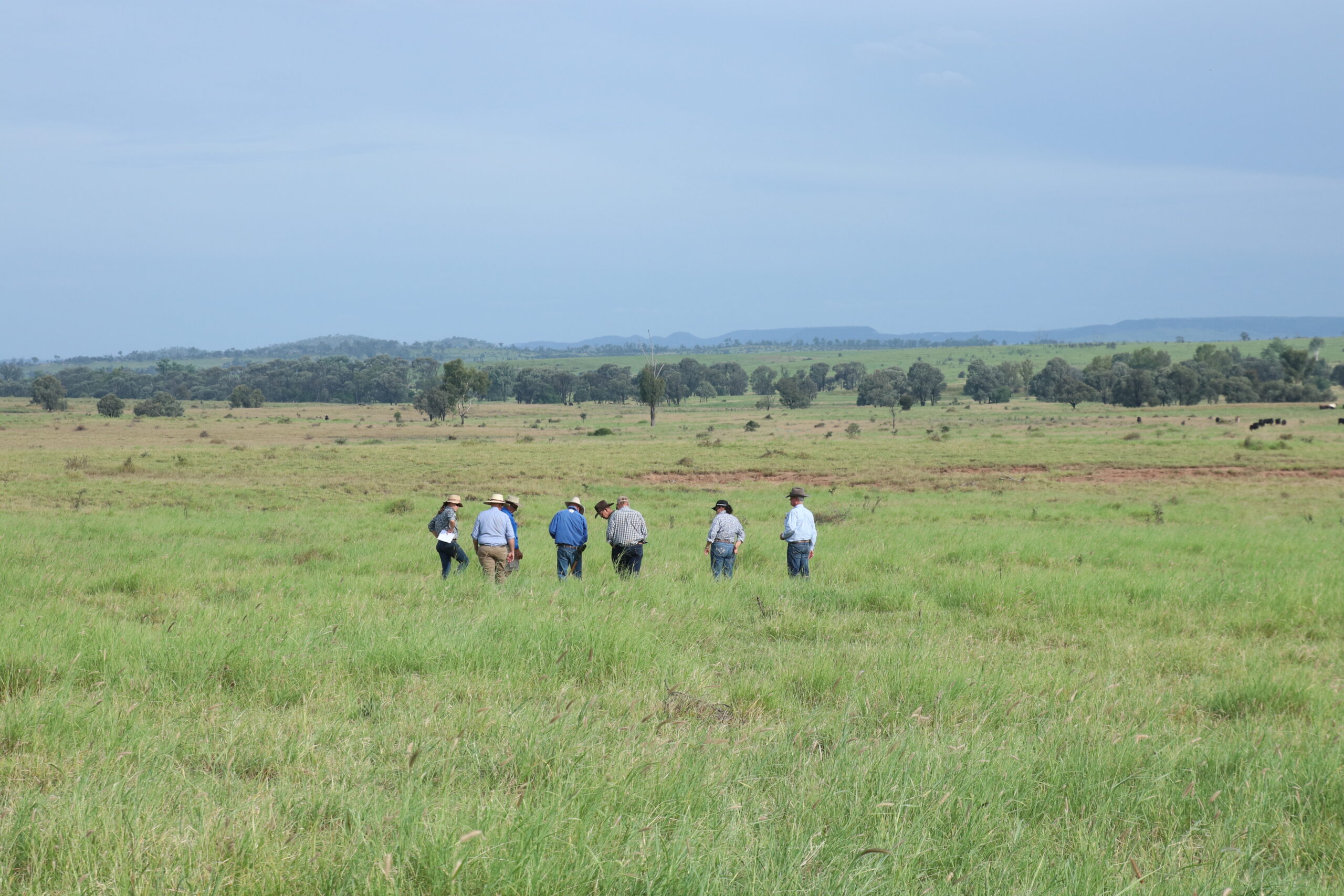 A grassy landscape leading to trees in the mid field and hills in the distance and sky, with a group of people standing looking at the ground amongst the grass.