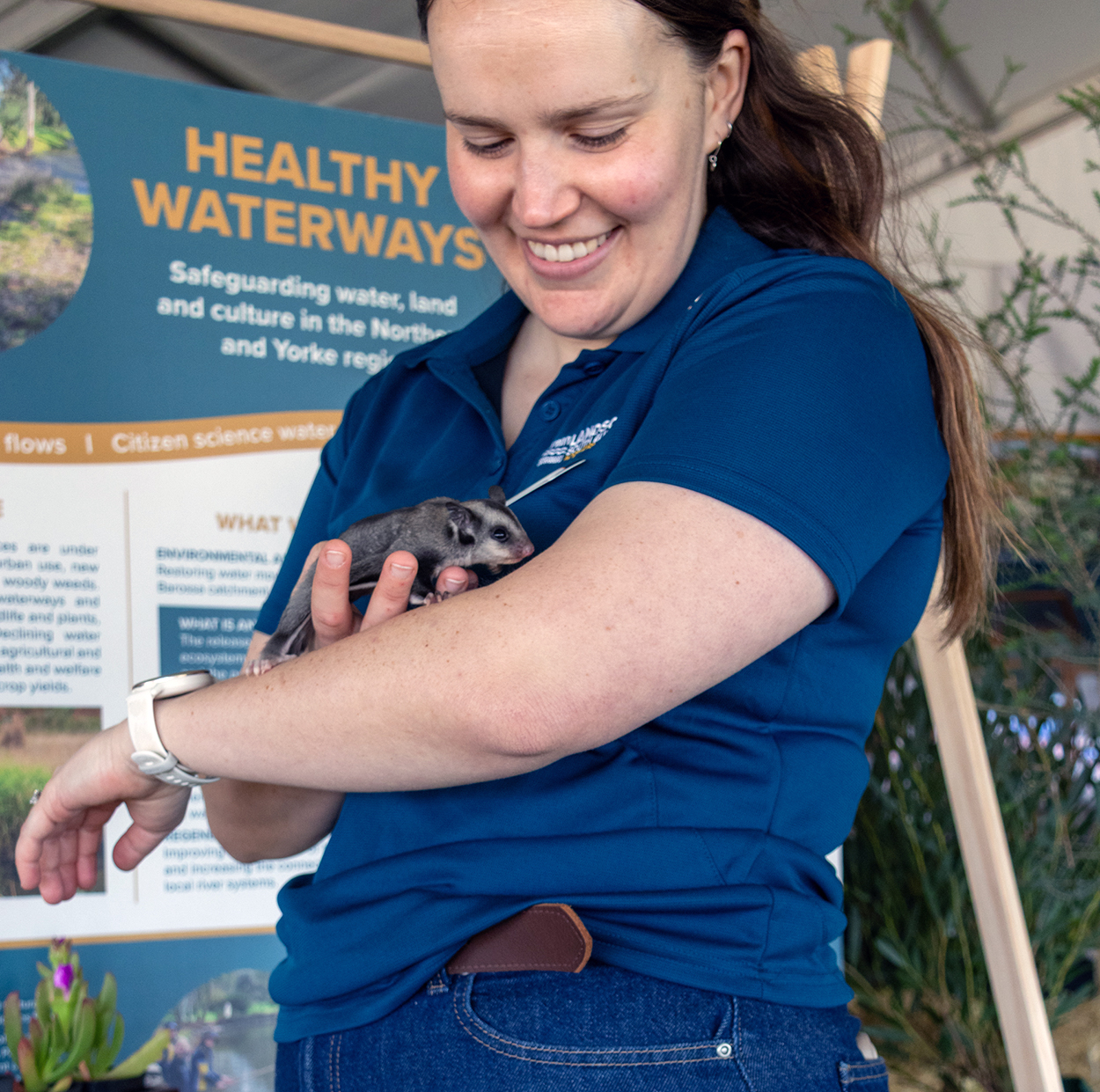 A person is holding a small grey, black and white marsupial.